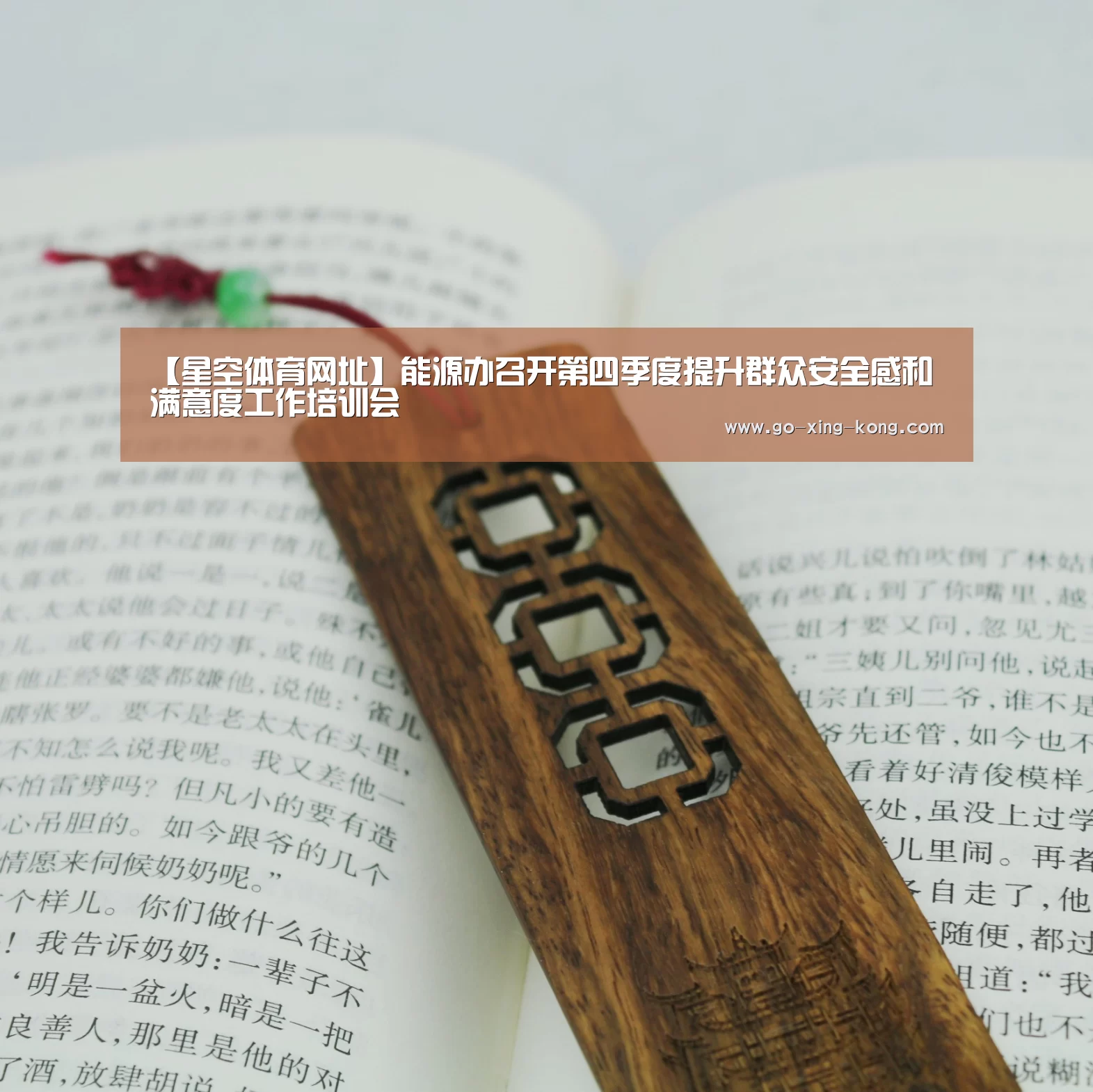 【星空体育网址】能源办召开第四季度提升群众安全感和满意度工作培训会(图2) 星空体育